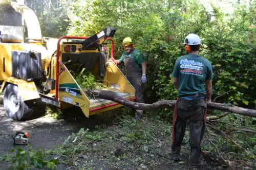 tree services Prudhoe Bay